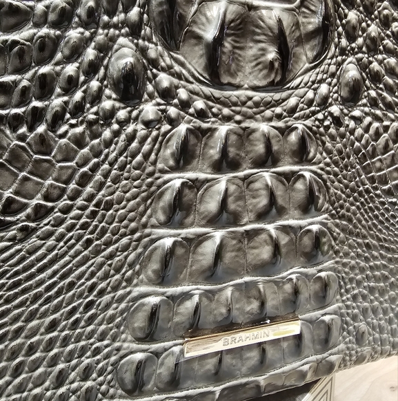 Brahmin Moira Hunter NWT - Picture 9 of 16